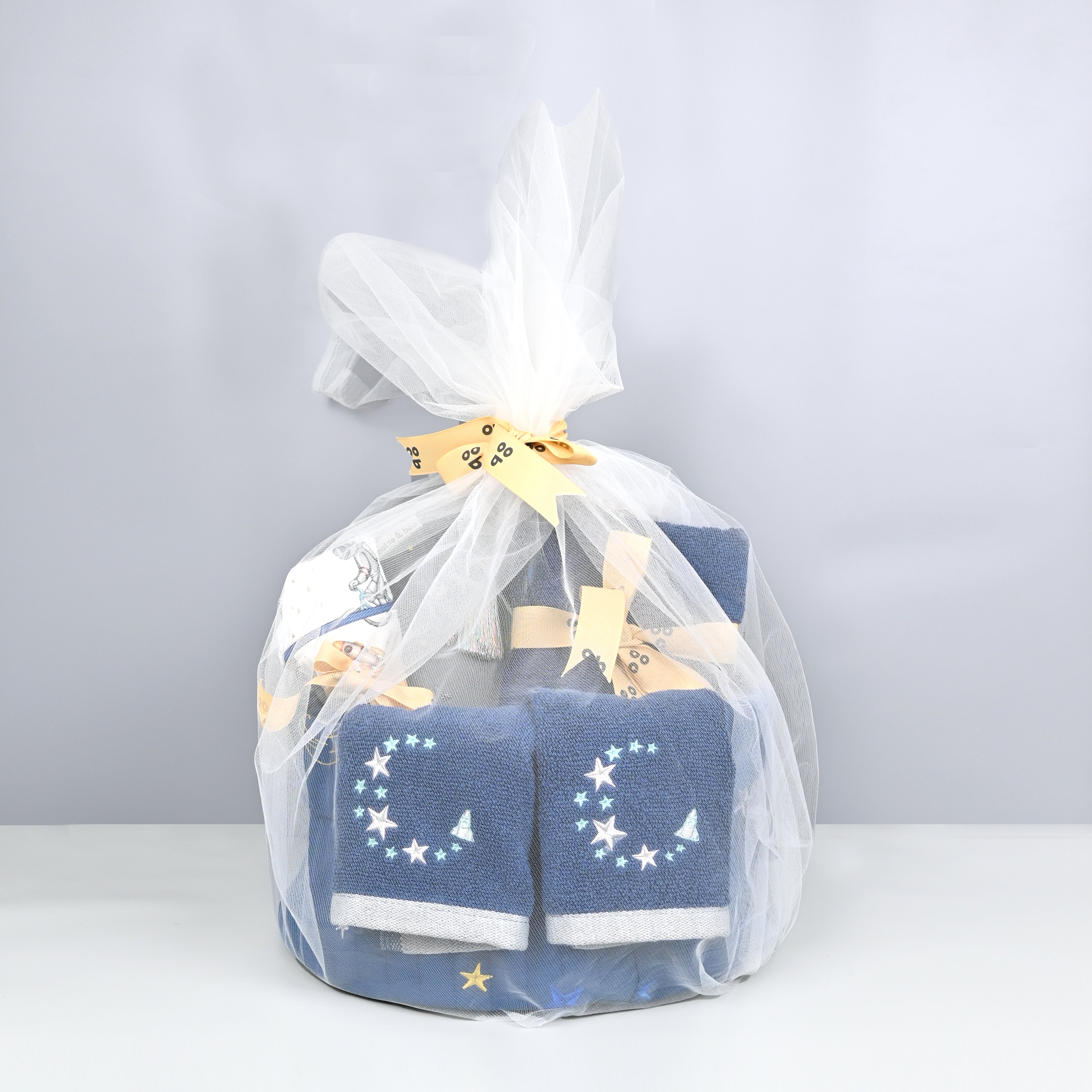 To The Moon And Back Splash Essentials Kit